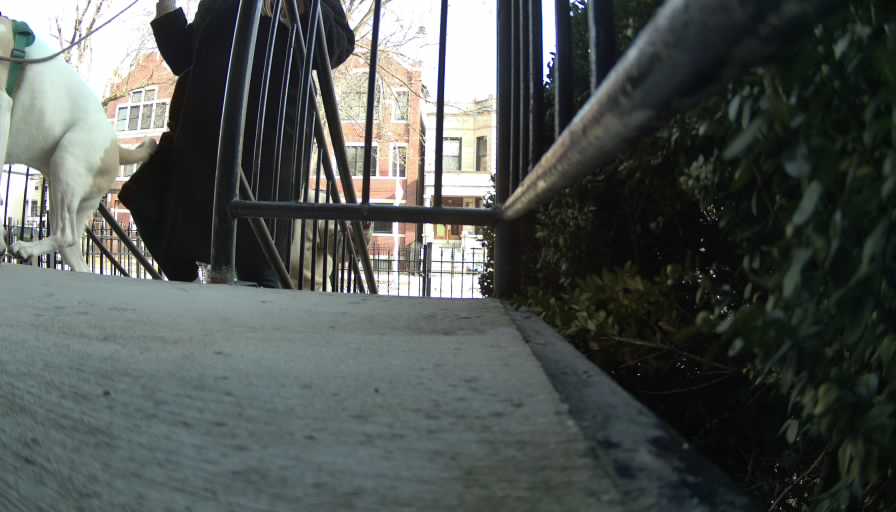 Reolink Camera Two_01_Reolink Home Hub One_20250207131312.jpg